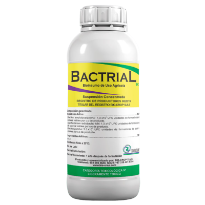 Bactrial Fungicida